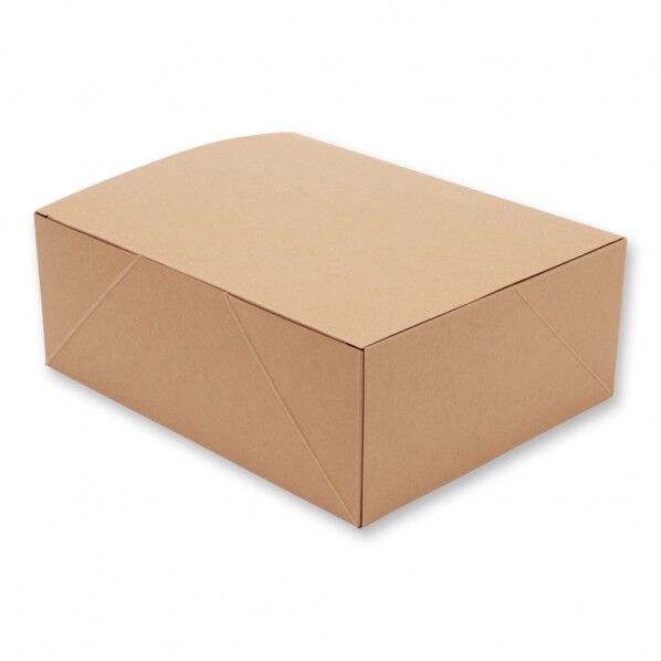 HEIKO 箱 ネオクラフト ケーキボックス LL ケーキ8個用 20枚 クラフト 190×240×90mm 004248018 20枚