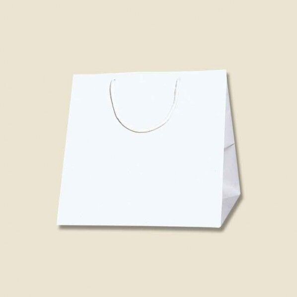 手提げ紙袋 ブライトバッグ C0 10枚