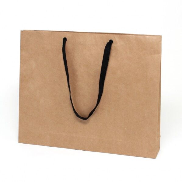 手提げ紙袋 ファッションバッグ L 未晒無地 10枚 006470610 10枚