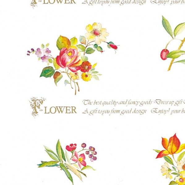 包装紙 シックスフラワー 全判