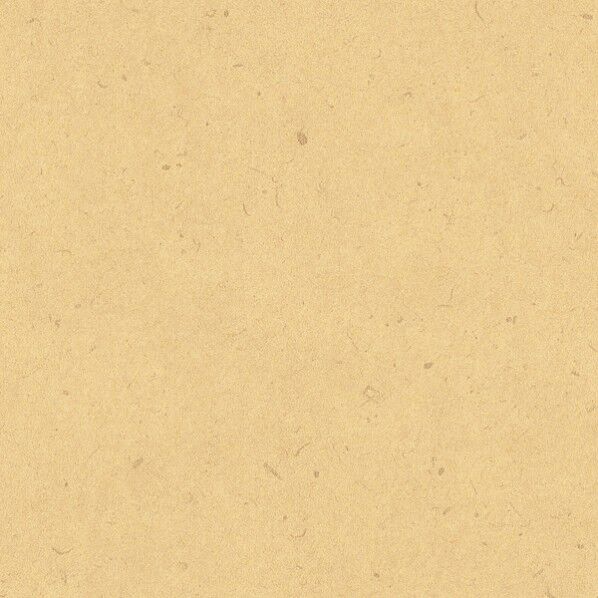 包装紙 ナチュラル 全判