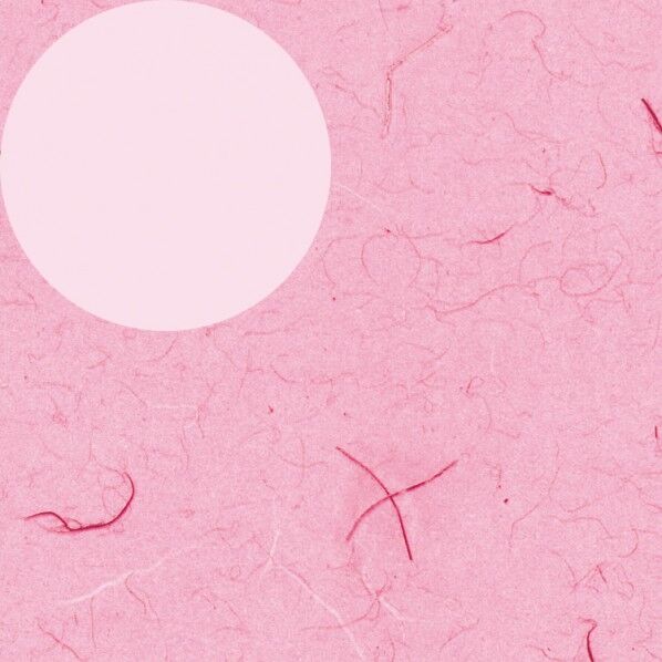 HEIKO 包装紙 半才 100枚 フウビ ピンク 758×523mm 2318400 1点