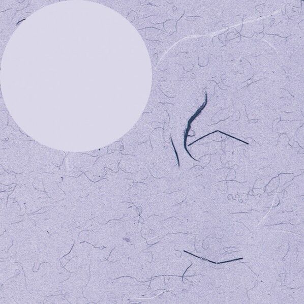 HEIKO 包装紙 半才 100枚 フウビ 紫 758×523mm 2318500 1点