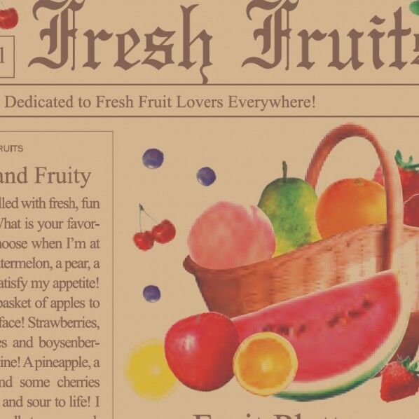 包装紙 フレッシュジャーナル 半才