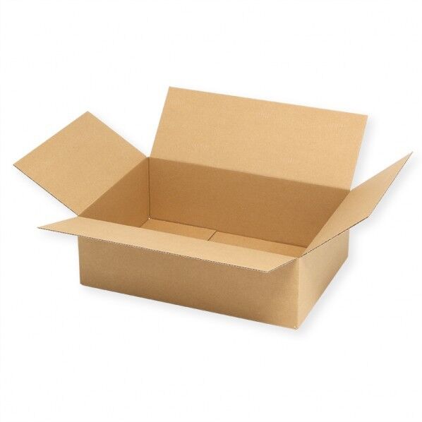 HEIKO 箱 ダンボール A4用-100 スリム 無地 20枚 クラフト 310×220×100mm 002123210 20枚