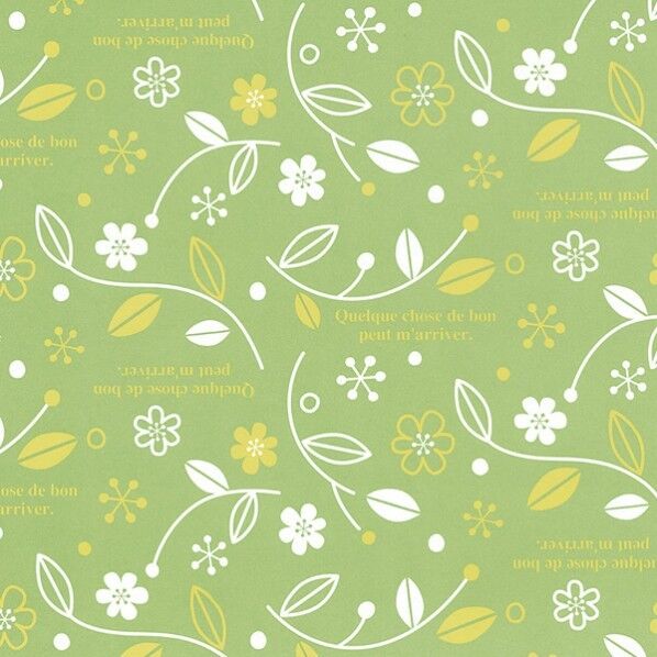 包装紙 エスペランス LG 半才