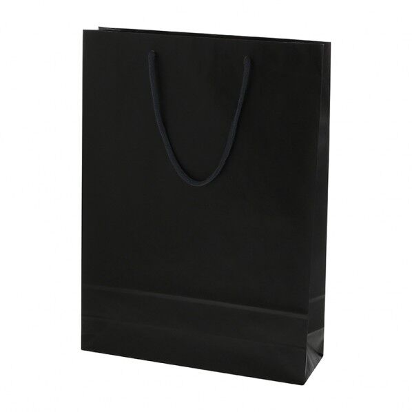 HEIKO 紙袋 カラーチャームバッグ 2才 10枚 黒 330×マチ100×450mm 5310114 1P.