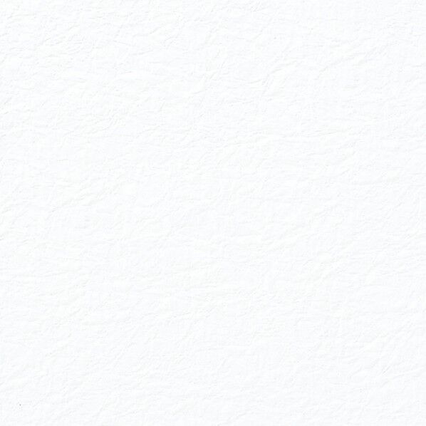 HEIKO 和紙 鳥の子 エンボス No.01 5枚 白 788×545mm 2108000 1点