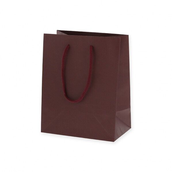 手提げ紙袋 カラーチャームバッグ 20-12 エンジ 10枚 005330103 10枚