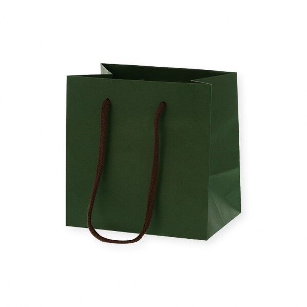 HEIKO 紙袋 カラーチャームバッグ MW 10枚 グリーン 160×マチ110×160mm 005330001 10枚