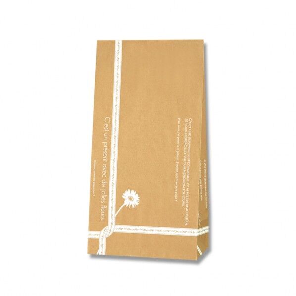 HEIKO 紙袋 角底袋 ルバン No.4 100枚 130×マチ80×235mm 4046400 1点