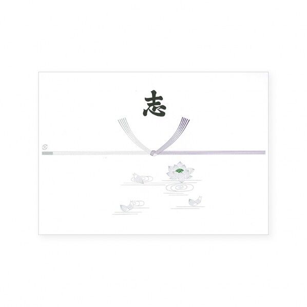 004800012 100枚