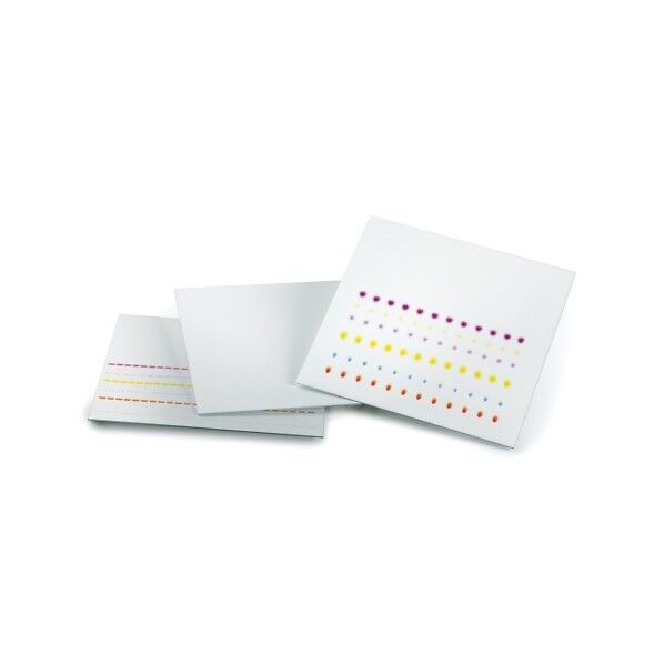 未修飾TLCプレート 蛍光指示薬F254 ガラスプレート 200×200 3-3347-01 1