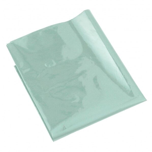 ハﾟステルクﾞリーン カラーヒﾞニール袋(10枚組)