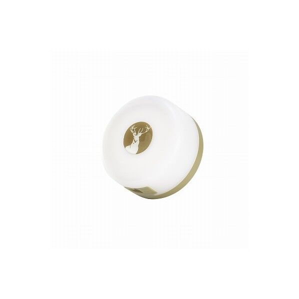 ストリングライト