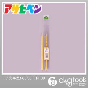 PC文字筆NO.30 FTM-30 1点