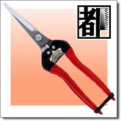 300L-DX-BP 1本