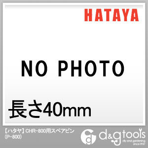 CHR-800用スペアピン P-800 1
