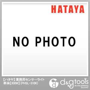 ハロゲンセンサーライト