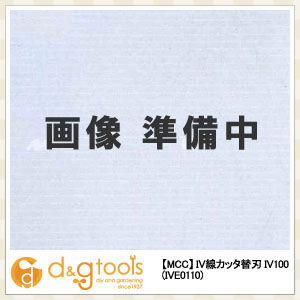 IVE0110 1点