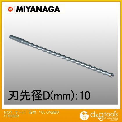 T10028