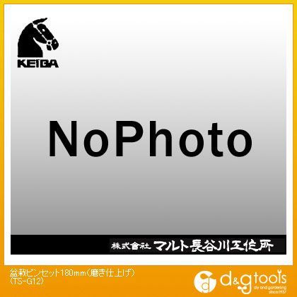 盆栽ピンセット