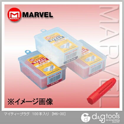 M6-30 100本