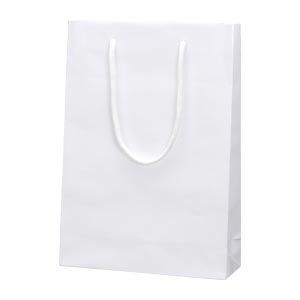 PB-SWT シロ 6138201 1枚