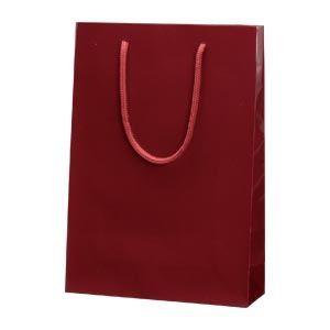 ブライトバック エンジ 6138202 1枚