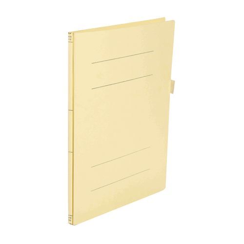 カラーエィナーエコノミーA4F