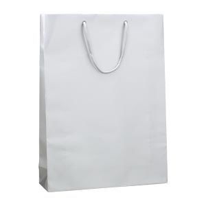 ブライトバック G2