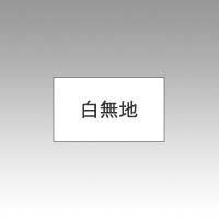 用ラベル白無地10巻入100 PB-1 1