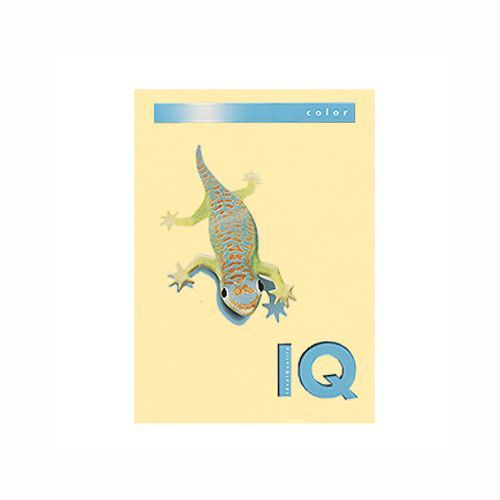 バイオトップカラーA4(250枚入)