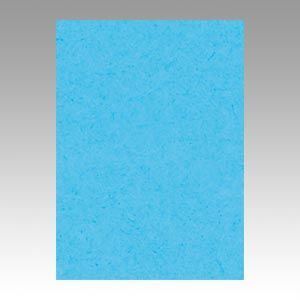 ニューカラーR10枚巻