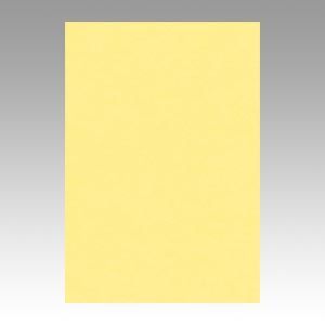 ニューカラー8切