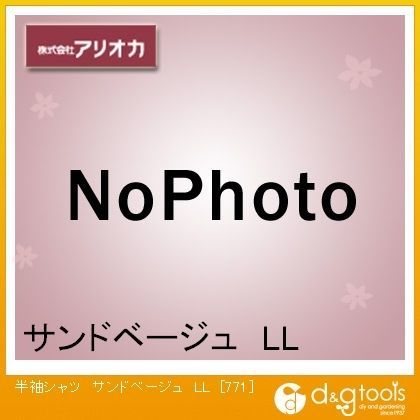 サンドベージュ LL 771 1点