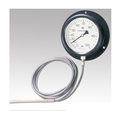 温度計/1-2584-03 4300-12 1個