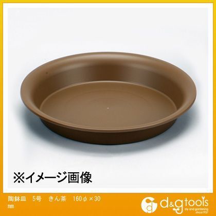 きん茶 160φ×30mm