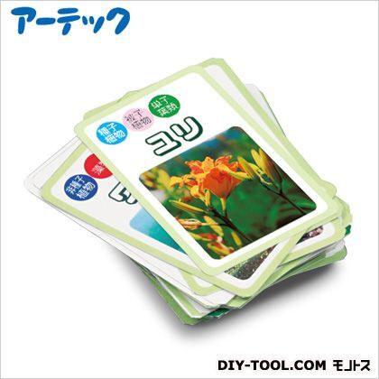 植物のなかまカード図鑑 55723 1