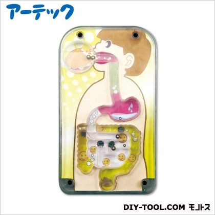 食べたものはどこへ行くの?体のめいろ 143×83×19mm 55728 1