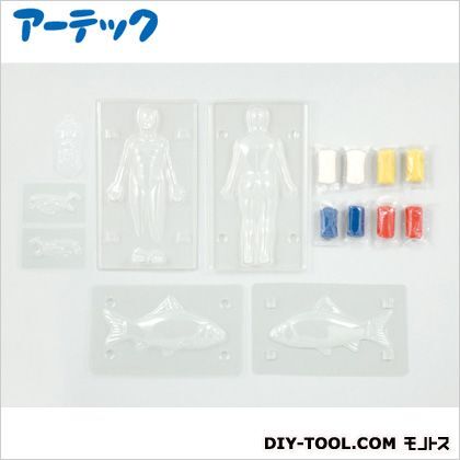 動物の内臓作りキット人と魚を比べてみよう 人:200×120×40mm魚:90×175×30mm 55732 1