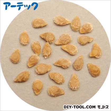 野菜の種ミニトマト苗床付 2733 1