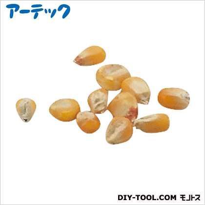 野菜の種とうもろこし苗床付 2738 1