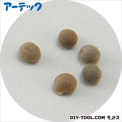 野菜の種オクラ苗床付 2739 1