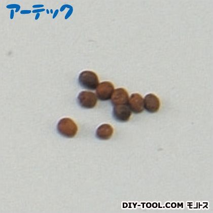 花の種ホウセンカ苗床付 2743 1