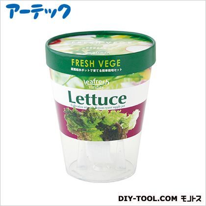 フレッシュベジレタス 2746 1