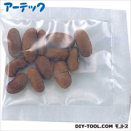 野菜の種インゲン豆苗床付