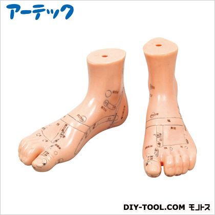摩擦足つぼ模型2組 9723 1