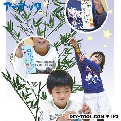 七夕グル-プセット(30人) 76364 1