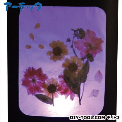 MyArtCollection押し花ランプ 91002 1